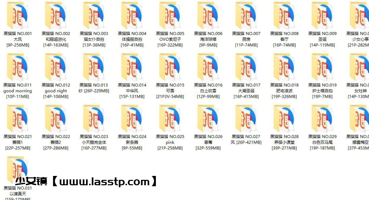898、coser网红《黑猫猫》全套31期+随包视频，大小5.95G
