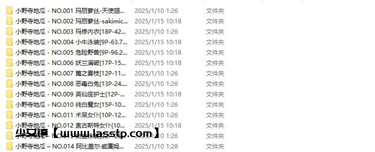938、小野寺地瓜 – 全套14期[2.2G]