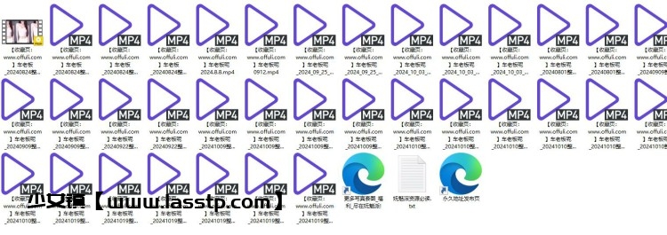 1159、虎牙直播车老板呢24年8-10月精选热舞剪辑[35v6.18G]