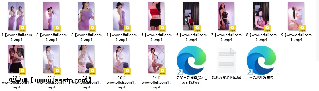1261、B站UP主小鹿想你y精选热舞合集[14V2.2G]