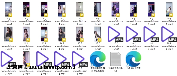 1290、抖音主播汐羽小号精选舞蹈[25V2.08G]